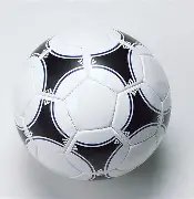 新宁县委党,校举办,年春季首场,B体育官方,B体育在线官网,B体育线上,B体育APP