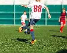 大湾区竞技,交融,共速推进一,B体育官方,B体育在线官网,B体育线上,B体育APP