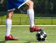 大湾区竞技,交融,共速推进一,B体育官方,B体育在线官网,B体育线上,B体育APP