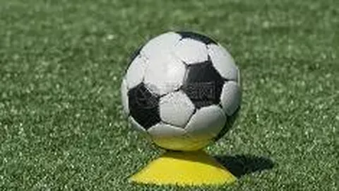 BLG战队勇夺夏季赛英雄联盟冠军，头部IP迈向自救新篇章