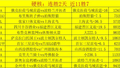 篮球联赛新篇章：球迷众筹助力换领军之才！