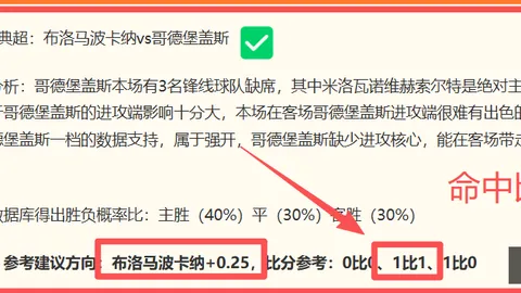 阿根廷杯2026前瞻：圣洛伦索-利斯特雷赛事解析，比分预测